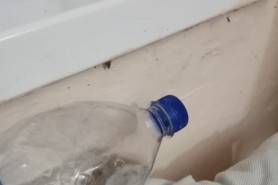 FOTO // Tratament cu gândaci la Spitalul raional Anenii Noi